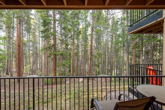 Beaver Village 17-12 (868130)